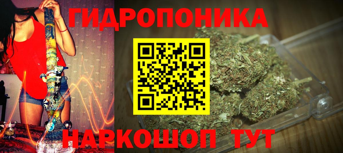 Бошки марихуана Amnesia Магнитогорск